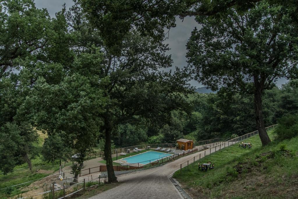 Agriturismo Specchio Del Lago Montefiascone Eksteriør billede
