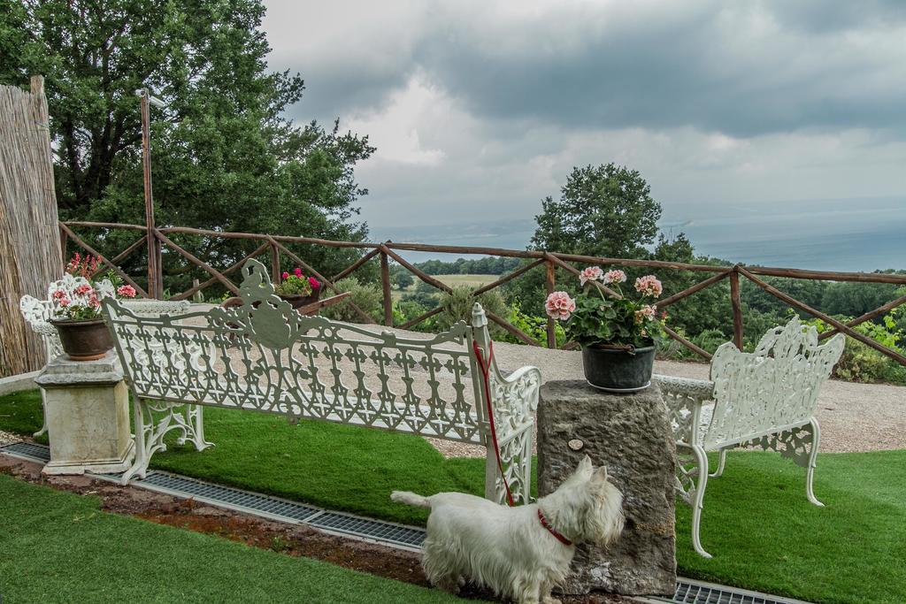 Agriturismo Specchio Del Lago Montefiascone Eksteriør billede