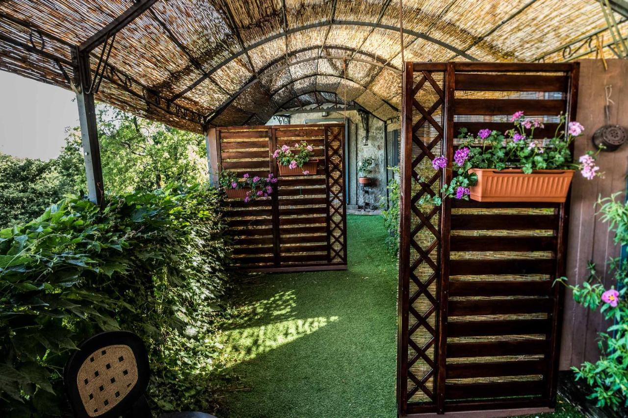 Agriturismo Specchio Del Lago Montefiascone Eksteriør billede